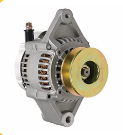 Professional Service